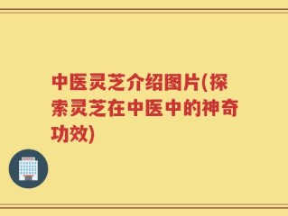 中医灵芝介绍图片(探索灵芝在中医中的神奇功效)