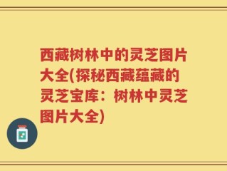 西藏树林中的灵芝图片大全(探秘西藏蕴藏的灵芝宝库：树林中灵芝图片大全)