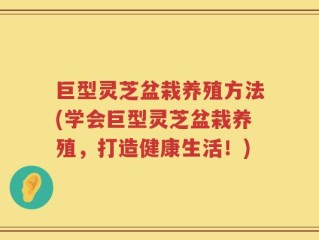 巨型灵芝盆栽养殖方法(学会巨型灵芝盆栽养殖，打造健康生活！)