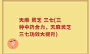 天麻 灵芝 三七(三种中药合力，天麻灵芝三七功效大提升)