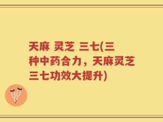 天麻 灵芝 三七(三种中药合力，天麻灵芝三七功效大提升)