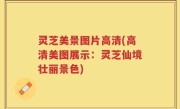 灵芝美景图片高清(高清美图展示：灵芝仙境壮丽景色)
