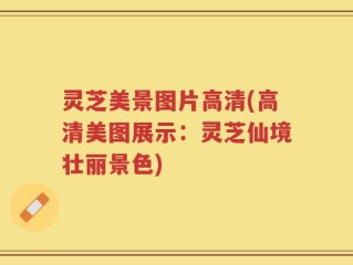 灵芝美景图片高清(高清美图展示：灵芝仙境壮丽景色)