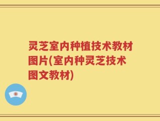 灵芝室内种植技术教材图片(室内种灵芝技术图文教材)