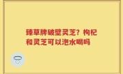 臻草牌破壁灵芝？枸杞和灵芝可以泡水喝吗