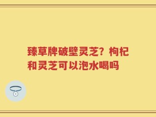 臻草牌破壁灵芝？枸杞和灵芝可以泡水喝吗