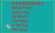树上有灵芝的英文歌名叫什么(Tree-topped Lingzhi What's the Name of the English Song)