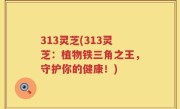 313灵芝(313灵芝：植物铁三角之王，守护你的健康！)
