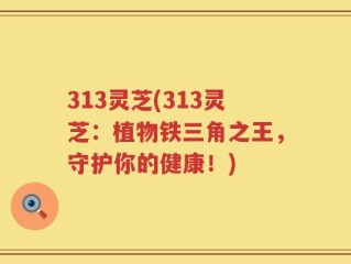 313灵芝(313灵芝：植物铁三角之王，守护你的健康！)