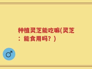 种植灵芝能吃嘛(灵芝：能食用吗？)