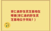 崇仁县野生灵芝基地在哪里(崇仁县的野生灵芝基地位于何处？)