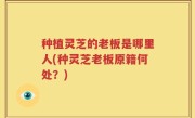 种植灵芝的老板是哪里人(种灵芝老板原籍何处？)