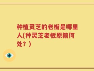 种植灵芝的老板是哪里人(种灵芝老板原籍何处？)