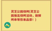 灵芝公园烧烤(灵芝公园推出烧烤活动，新鲜烤串等你来品尝！)