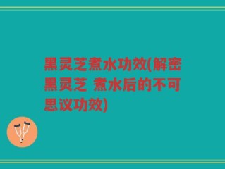 黑灵芝煮水功效(解密黑灵芝 煮水后的不可思议功效)