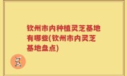 钦州市内种植灵芝基地有哪些(钦州市内灵芝基地盘点)