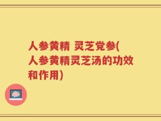 人参黄精 灵芝党参(人参黄精灵芝汤的功效和作用)
