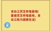 青白江灵芝养殖基地(重建灵芝养殖基地，青白江助力健康生活)