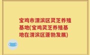 宝鸡市渭滨区灵芝养殖基地(宝鸡灵芝养殖基地在渭滨区蓬勃发展)