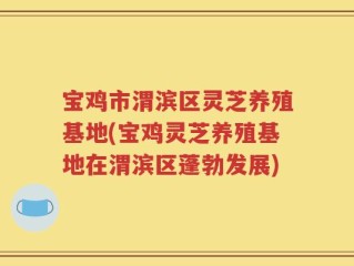 宝鸡市渭滨区灵芝养殖基地(宝鸡灵芝养殖基地在渭滨区蓬勃发展)