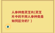 人参种类灵芝片(灵芝片中的不同人参种类是如何区分的？)