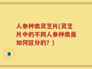 人参种类灵芝片(灵芝片中的不同人参种类是如何区分的？)