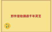 野外冒险偶遇千年灵芝