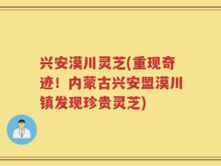 兴安漠川灵芝(重现奇迹！内蒙古兴安盟漠川镇发现珍贵灵芝)