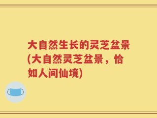 大自然生长的灵芝盆景(大自然灵芝盆景，恰如人间仙境)