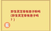 野生灵芝带有孢子粉吗(野生灵芝带有孢子吗？)