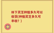林下灵芝种植多久可以收获(种植灵芝多久可丰收？)