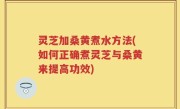 灵芝加桑黄煮水方法(如何正确煮灵芝与桑黄来提高功效)