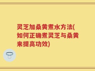 灵芝加桑黄煮水方法(如何正确煮灵芝与桑黄来提高功效)