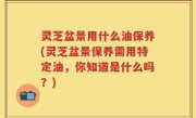 灵芝盆景用什么油保养(灵芝盆景保养需用特定油，你知道是什么吗？)