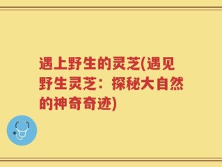 遇上野生的灵芝(遇见野生灵芝：探秘大自然的神奇奇迹)