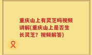 重庆山上有灵芝吗视频讲解(重庆山上是否生长灵芝？视频解答)