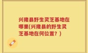 兴隆县野生灵芝基地在哪里(兴隆县的野生灵芝基地在何位置？)
