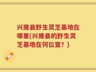 兴隆县野生灵芝基地在哪里(兴隆县的野生灵芝基地在何位置？)