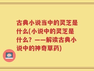 古典小说当中的灵芝是什么(小说中的灵芝是什么？——解读古典小说中的神奇草药)