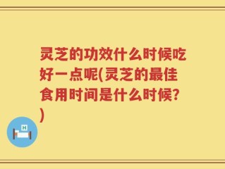 灵芝的功效什么时候吃好一点呢(灵芝的最佳食用时间是什么时候？)
