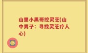 山里小黑哥挖灵芝(山中男子：寻找灵芝疗人心)