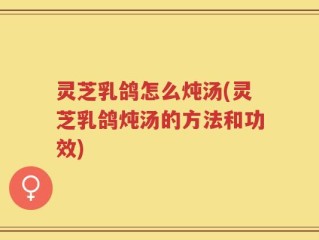 灵芝乳鸽怎么炖汤(灵芝乳鸽炖汤的方法和功效)