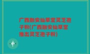 广西融安仙草堂灵芝孢子粉(广西融安仙草堂推出灵芝孢子粉)