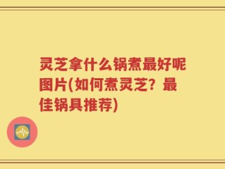 灵芝拿什么锅煮最好呢图片(如何煮灵芝？最佳锅具推荐)