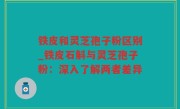 铁皮和灵芝孢子粉区别_铁皮石斛与灵芝孢子粉：深入了解两者差异