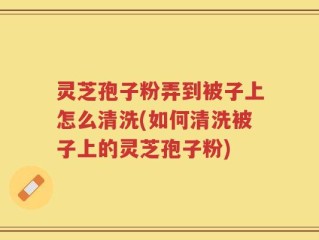 灵芝孢子粉弄到被子上怎么清洗(如何清洗被子上的灵芝孢子粉)