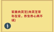 家里肉灵芝(肉灵芝常年在家，养生养心两不误)