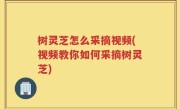 树灵芝怎么采摘视频(视频教你如何采摘树灵芝)