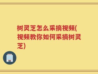 树灵芝怎么采摘视频(视频教你如何采摘树灵芝)