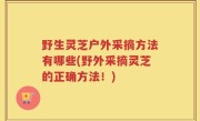 野生灵芝户外采摘方法有哪些(野外采摘灵芝的正确方法！)